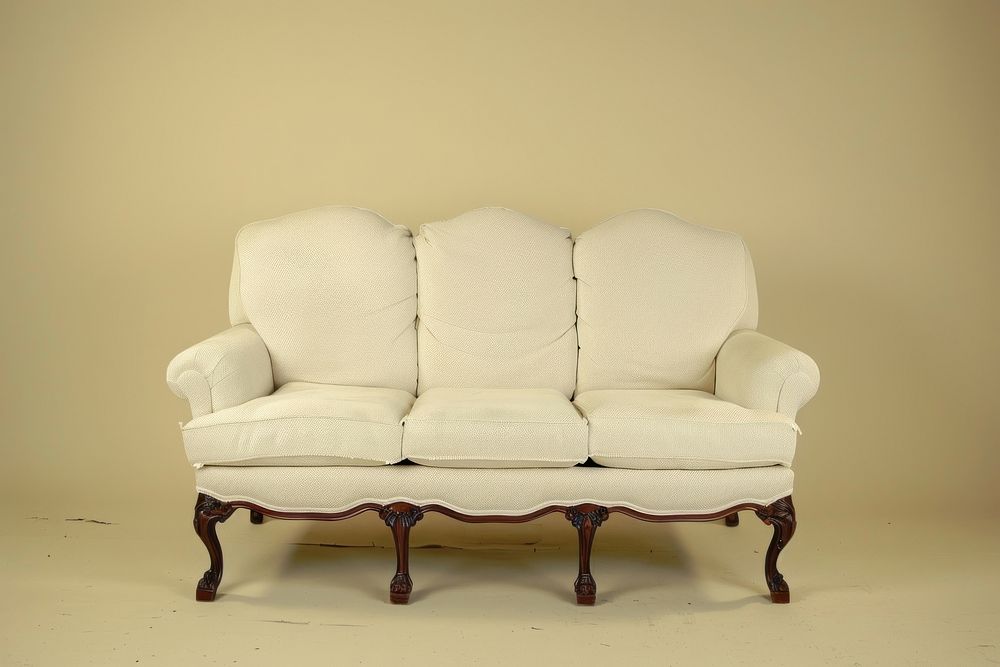 Camelback Sofa furniture chair sofa.
