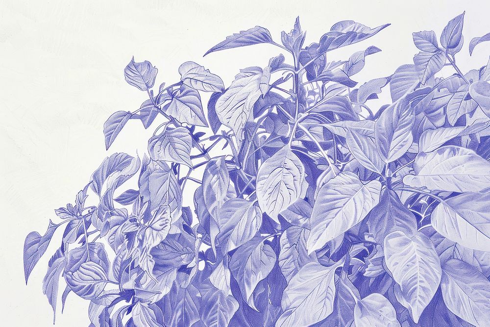 Vintage drawing plant sketch leaf backgrounds.