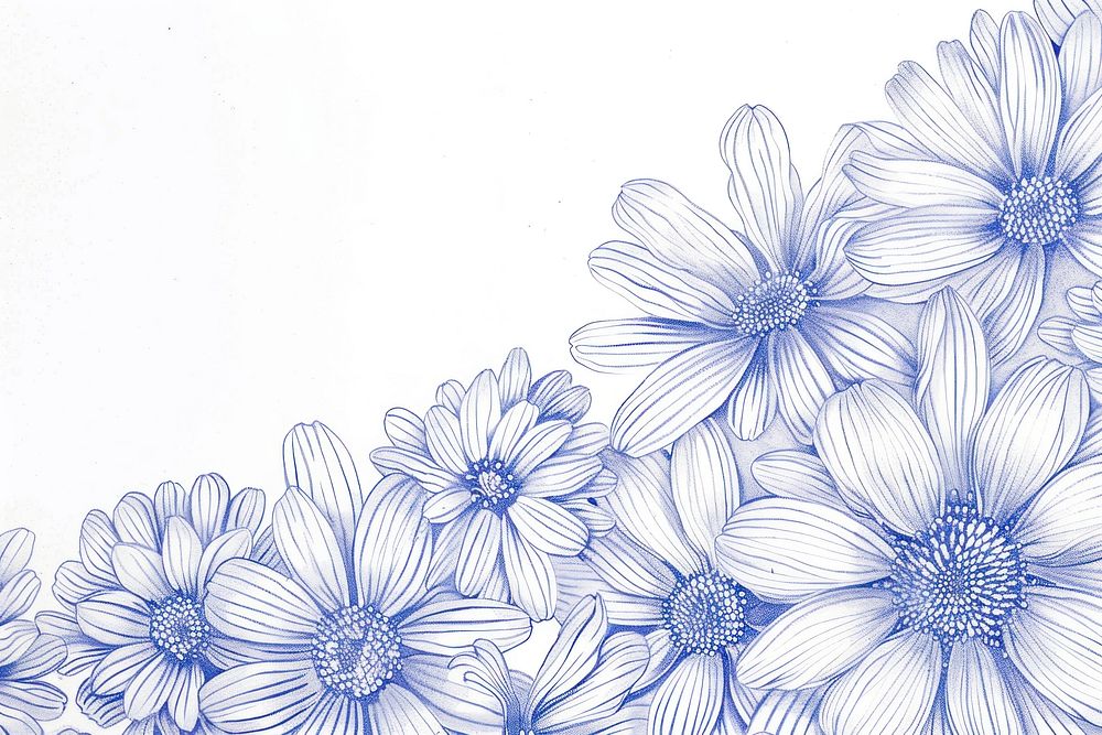 Vintage drawing daisys sketch pattern flower.