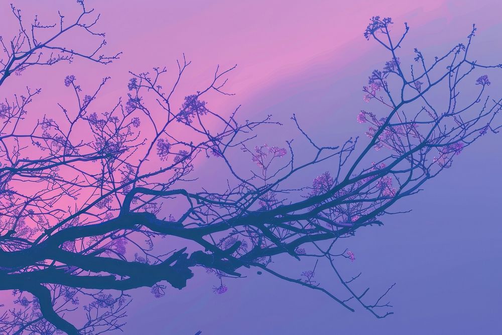 Illustration of a tree branch purple backgrounds outdoors.