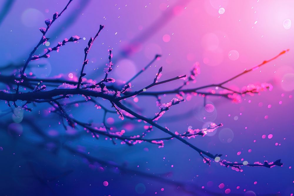 Illustration of a tree branch with snow purple backgrounds outdoors.