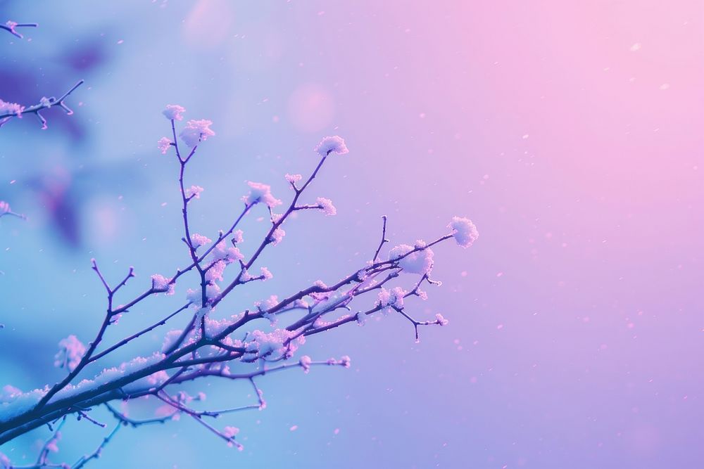 Illustration of a tree branch with snow outdoors blossom nature.
