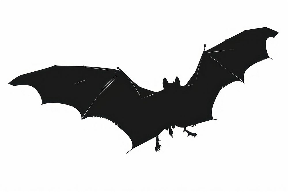 Bat silhouette clip art bat white background monochrome.