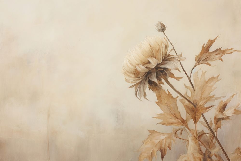 Close up on pale dried flower painting blossom plant.
