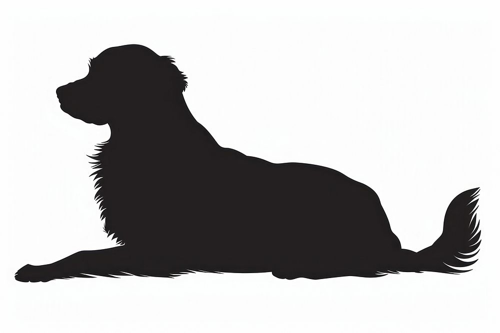 Silhouette person animal canine.