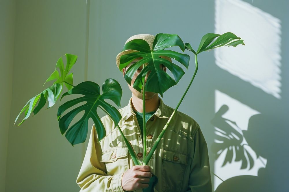 South east asian man holding Monstera plant person adult.