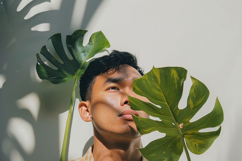 South east asian man holding Monstera plant person human.