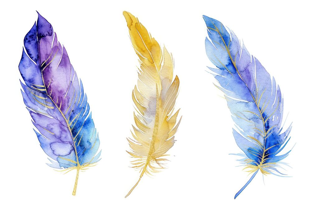 Watercolor feathers clipart accessories accessory jewelry.