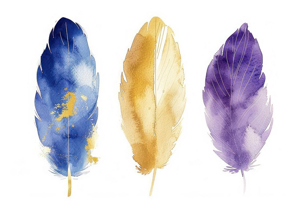 Watercolor feathers clipart accessories accessory blossom.