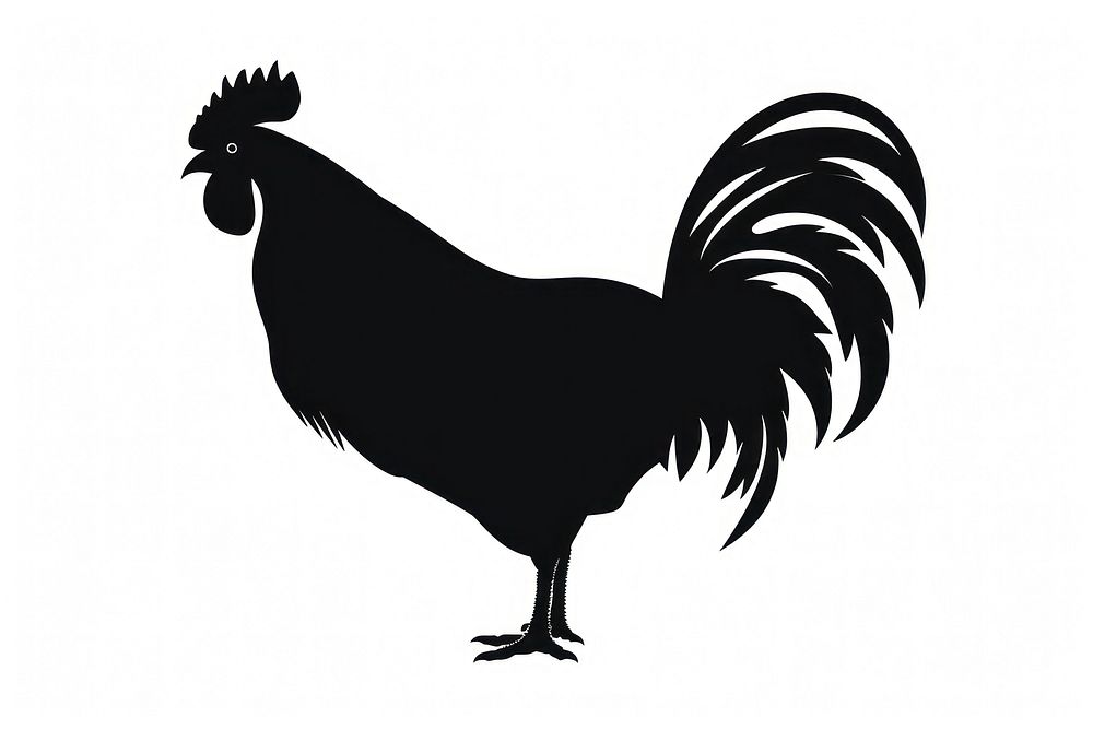 Chicken silhouette poultry rooster.