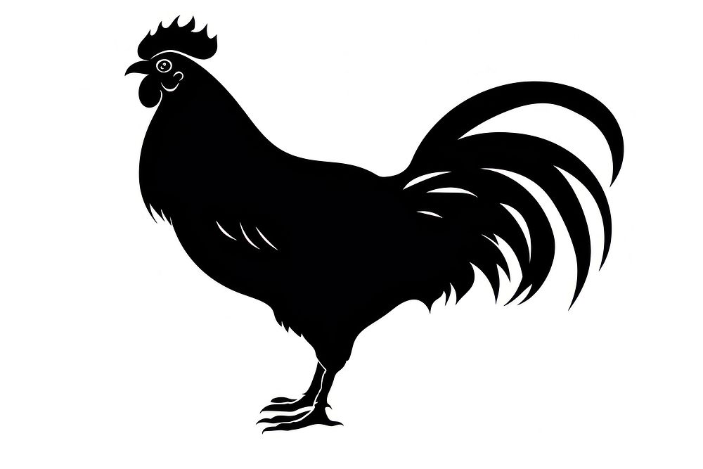 Chicken chicken poultry rooster.