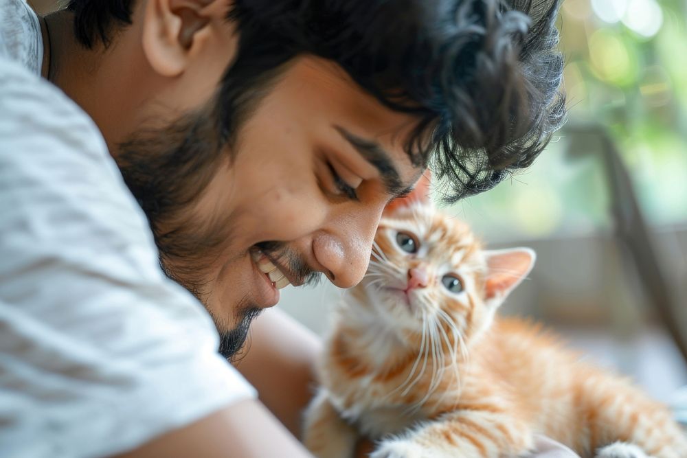 South asian young man playing with a kittys animal kitten mammal.