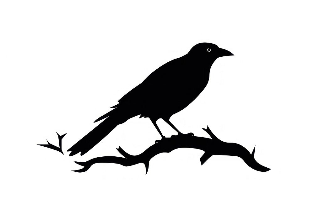 Crow silhouette blackbird agelaius.