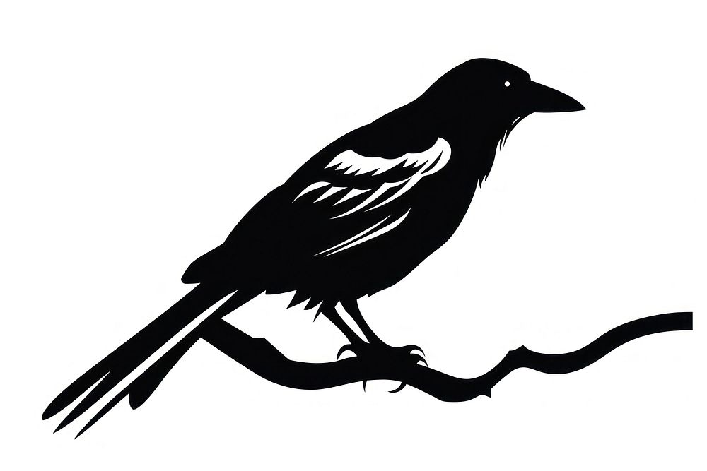 Crow silhouette blackbird agelaius.