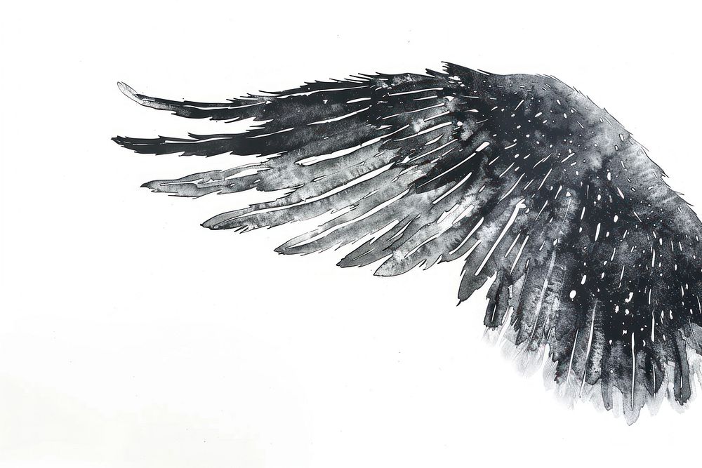 Hand drawn angel wing illustrated archangel vulture.