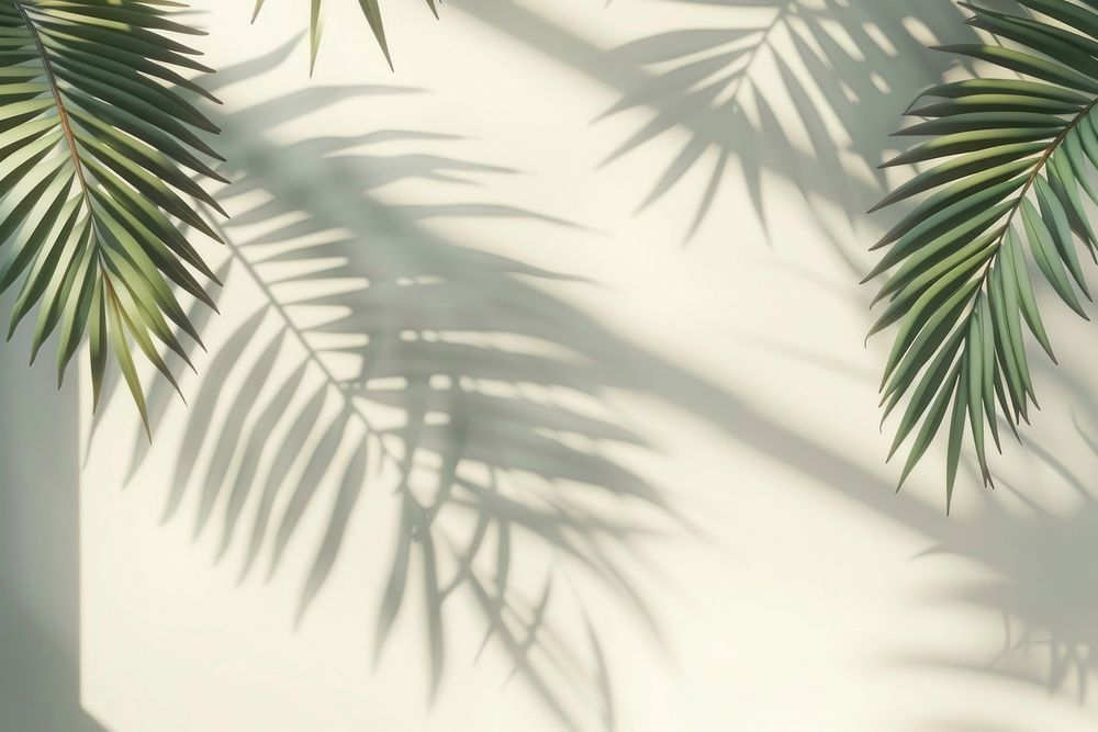 Palm leaves art vegetation arecaceae.