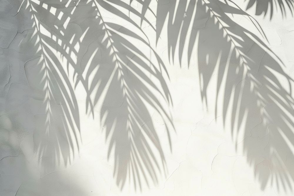 Palm leaves white art vegetation.