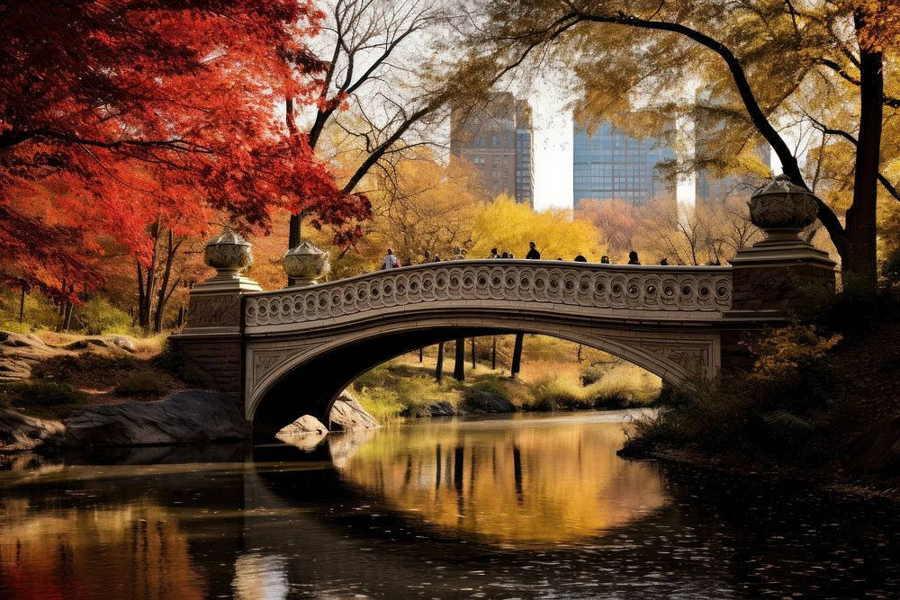 Central Park autumn landscape outdoors.