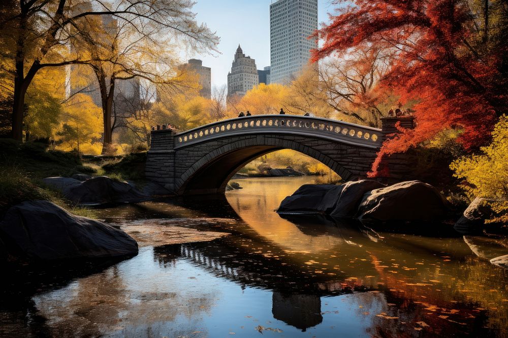 Central Park autumn park city.