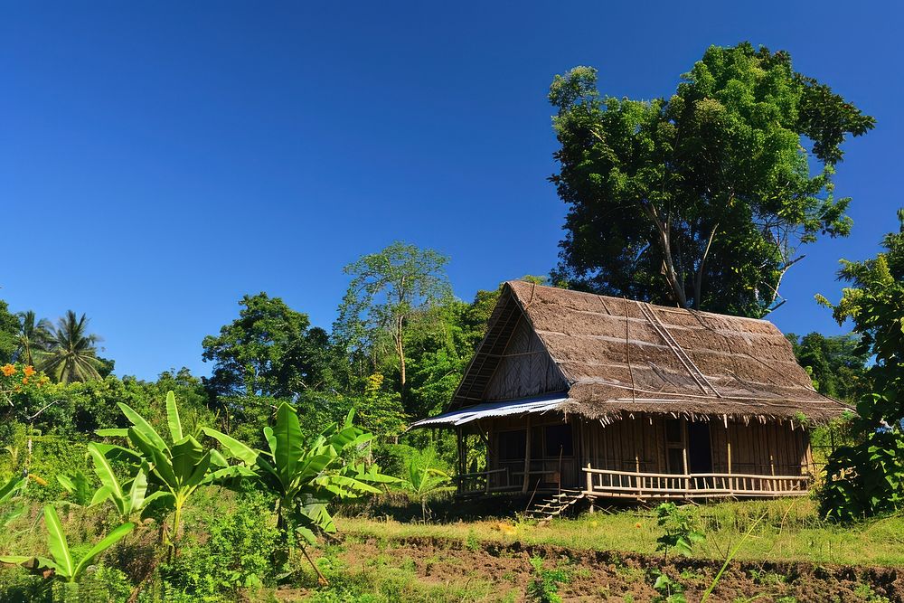 Rumah Pohon Molenteng architecture countryside outdoors.