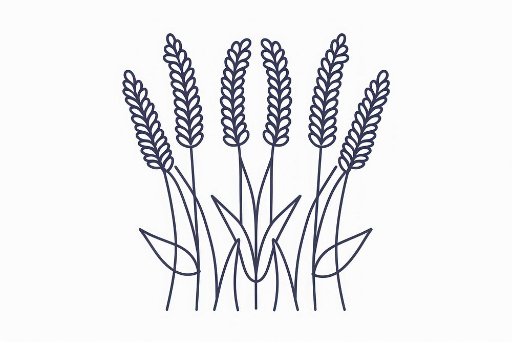 Vector illustration of pearl millet line icon chandelier agropyron grass.