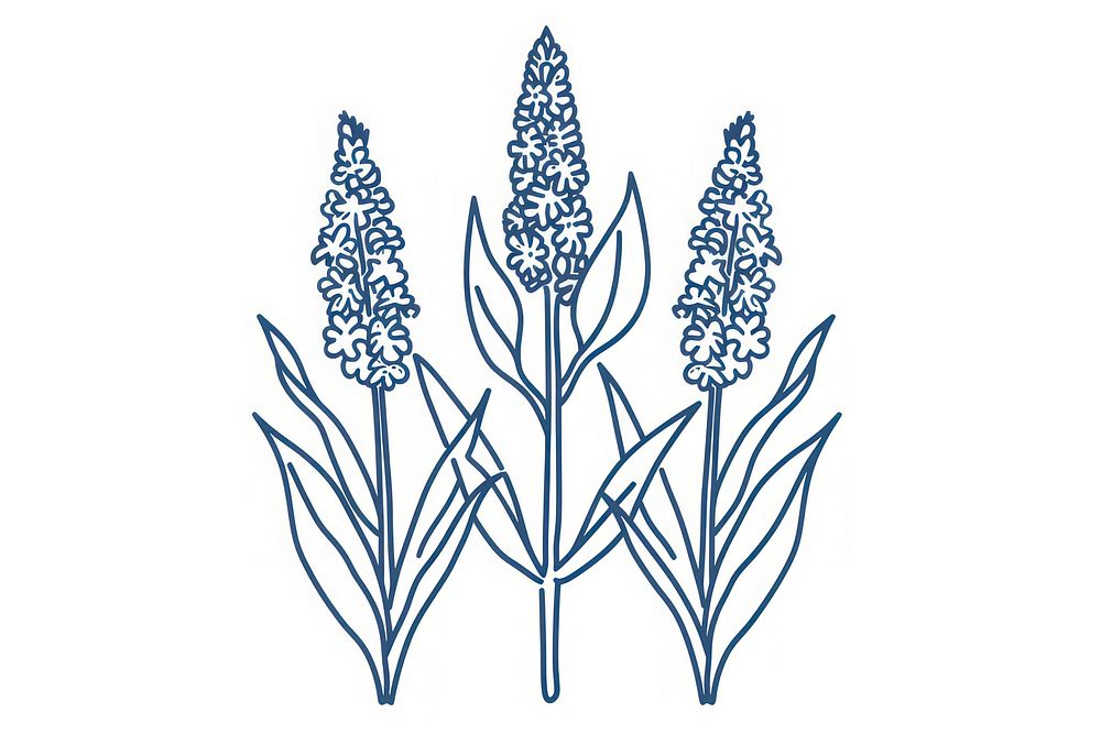 Vector illustration of sorghum line icon illustrated chandelier lavender.
