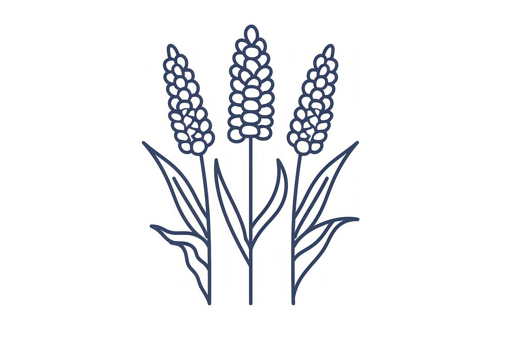 Vector illustration of sorghum line icon agropyron blossom flower.