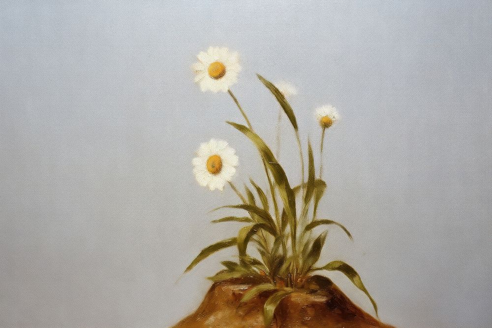 Sunflower painting art asteraceae.