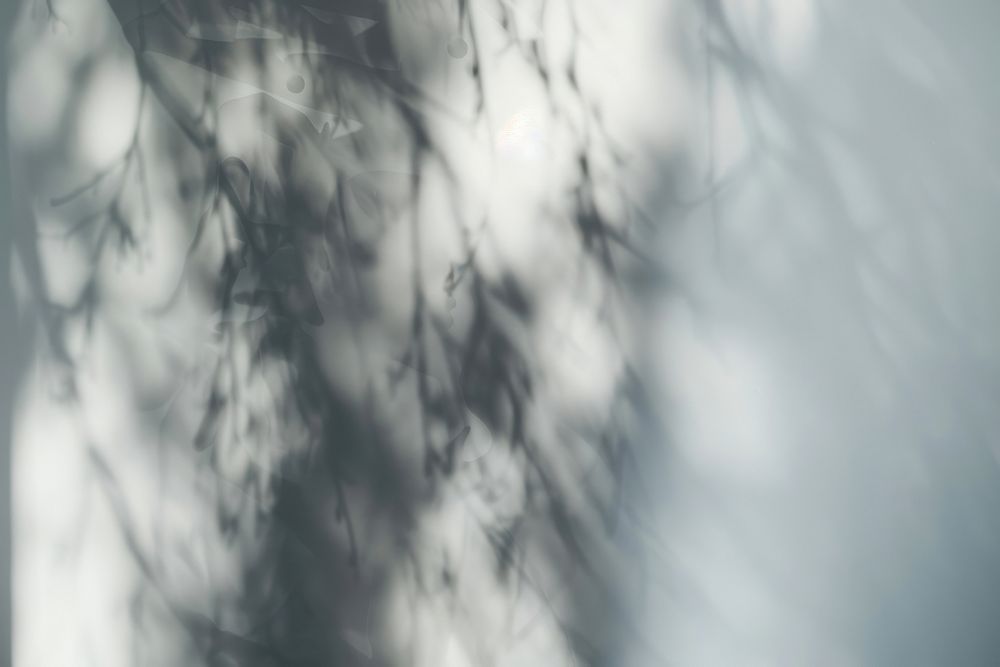 Abstract blurred gothic shadow vegetation outdoors woodland.