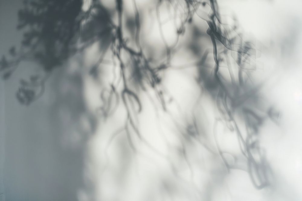 Abstract blurred gothic shadow outdoors weather nature.