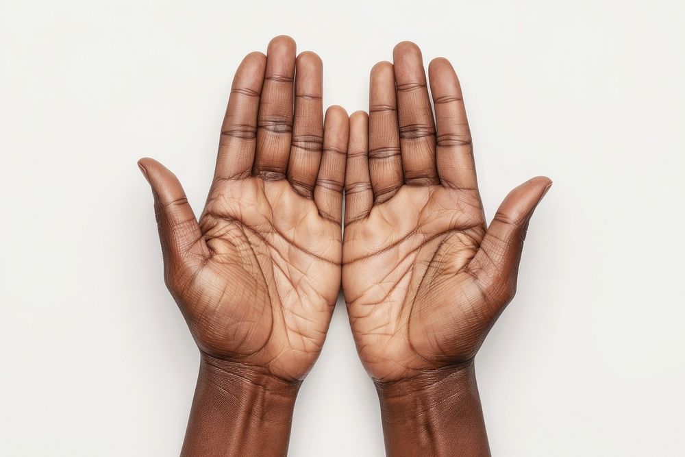 Hands open the palm finger white background gesturing.