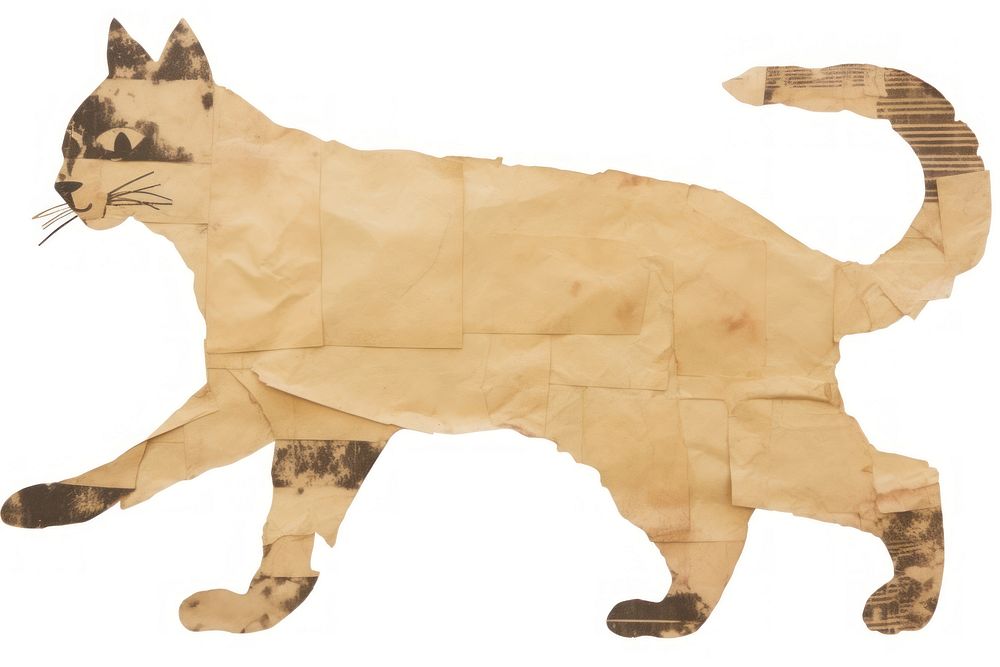 Cat shape ripped paper animal mammal pet.