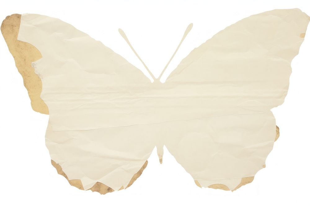 Butterfly shape ripped paper white white background pattern.