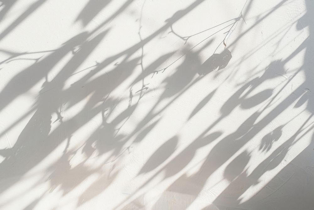 Shadow of branch wall transportation architecture.