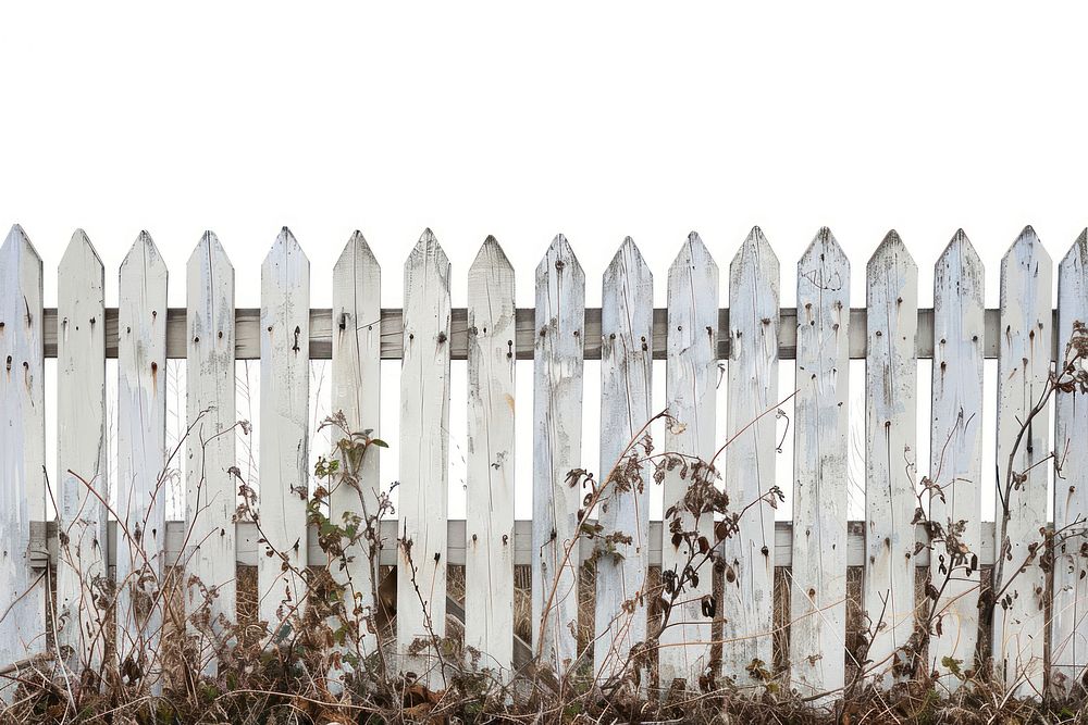 Old white wooden fence backgrounds outdoors nature.