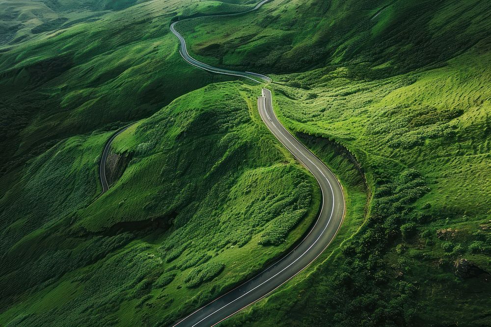 The curve of a winding road outdoors nature green.