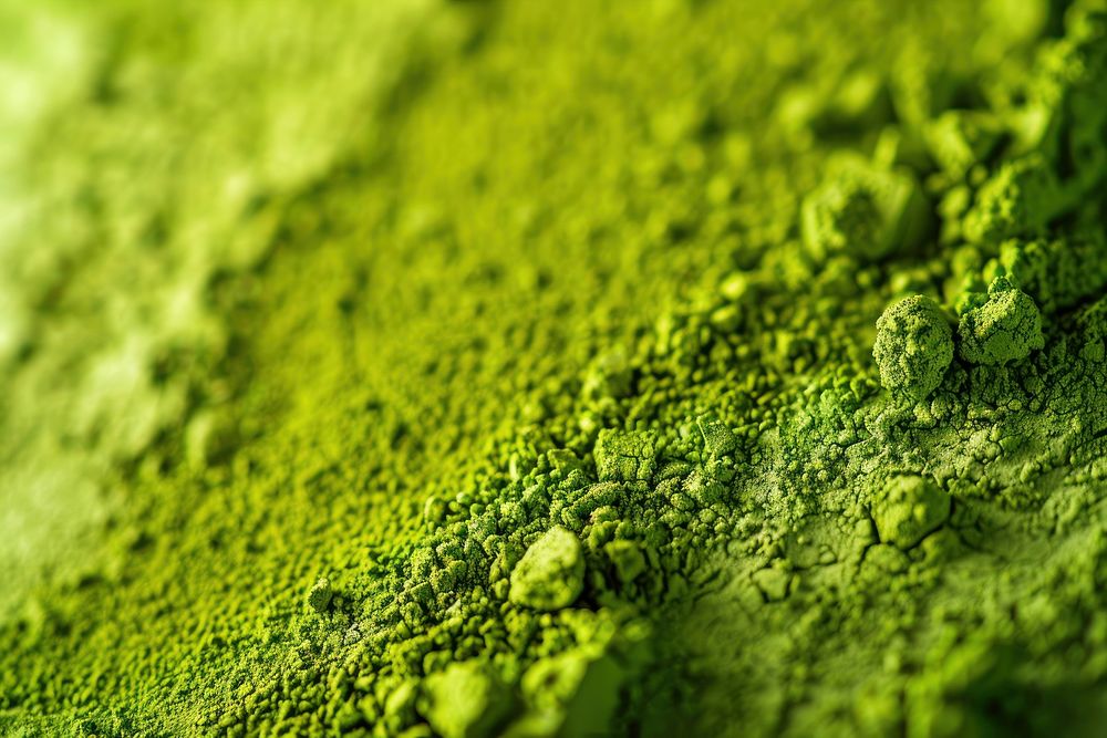 Matcha powder texture vegetation plant green.