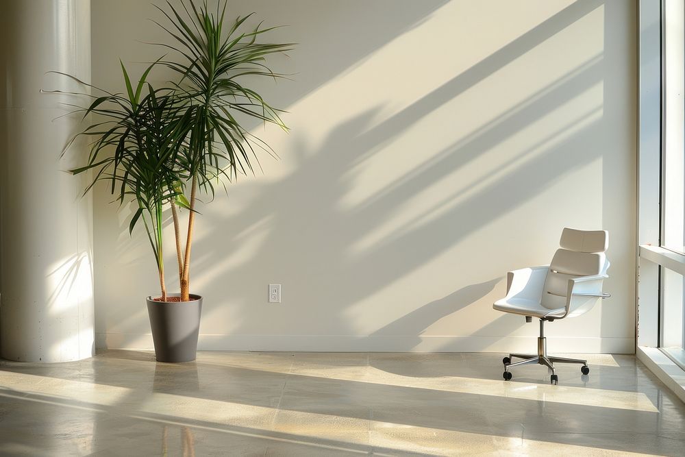 Modern office furniture indoors plant.
