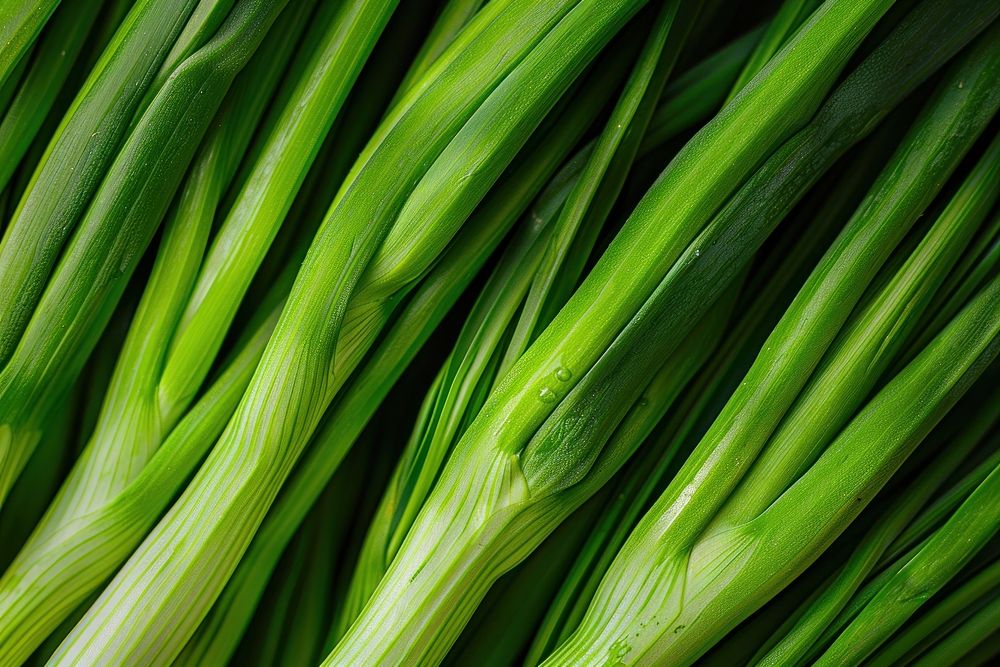 Spring onion vegetable produce plant.