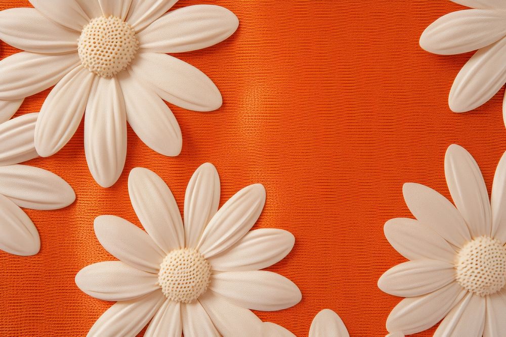 Daisy backgrounds flower petal.