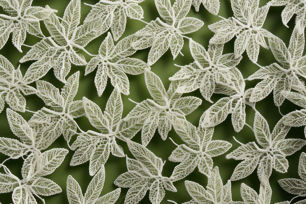 Lace backgrounds pattern nature.