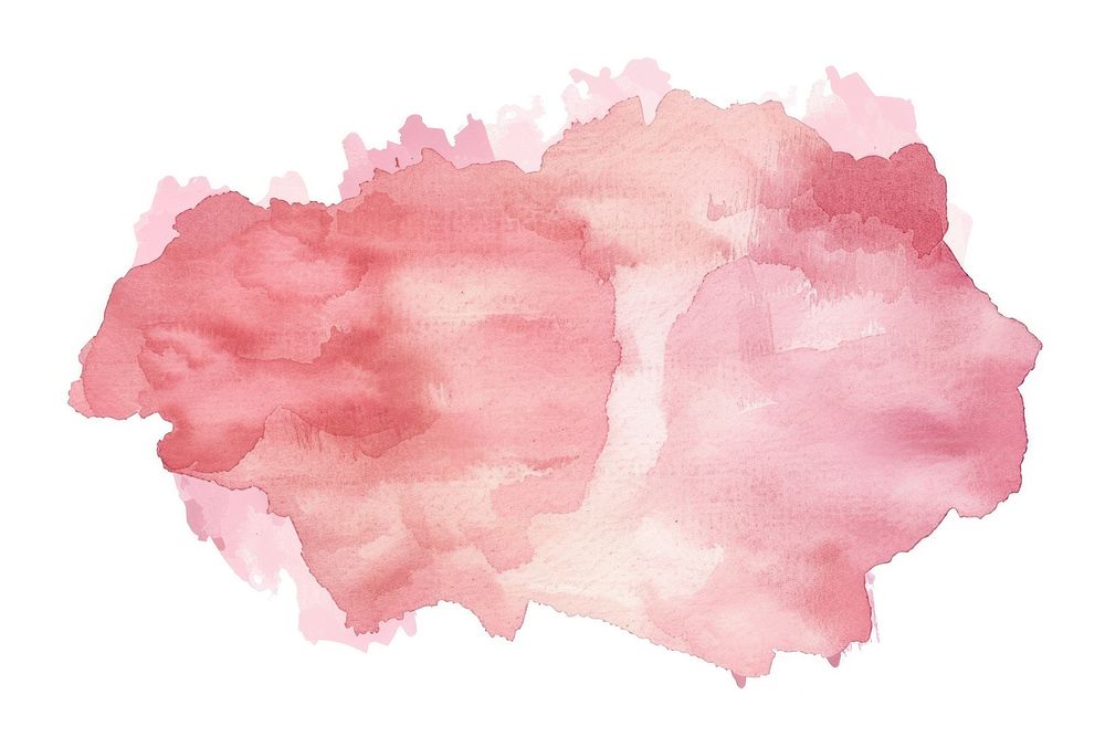 Abstract soft bright pastel pink watercolor stain on white vector image carnation blossom flower.