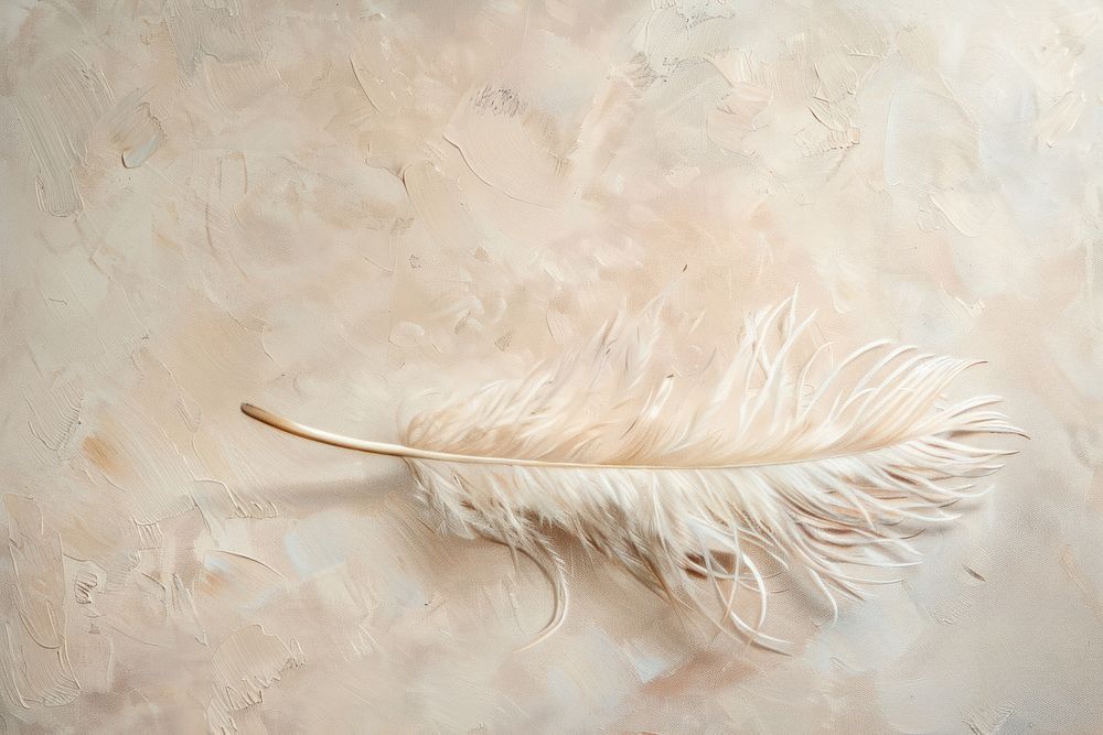 Oil painting of a close up on pale feather lightweight accessories creativity.
