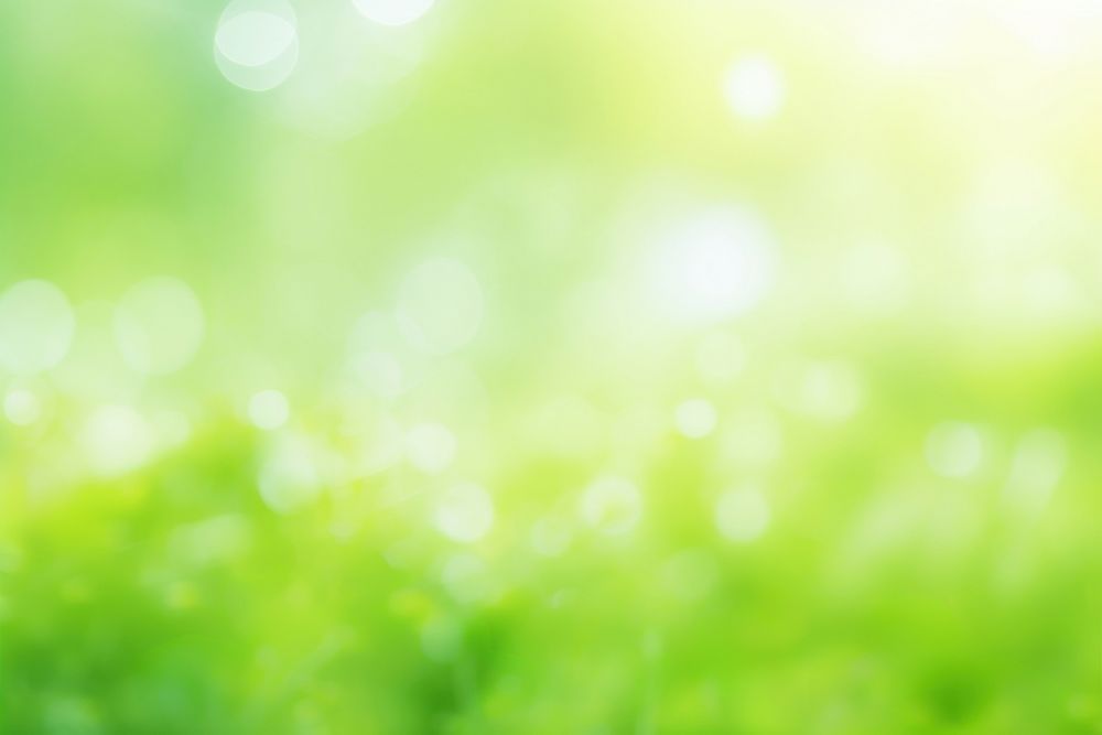Bokeh bright Green nature background green backgrounds outdoors.