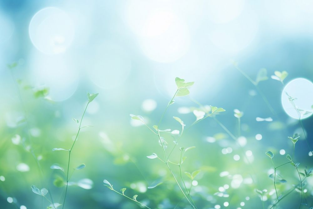 Bokeh Green and blue nature background green backgrounds sunlight.