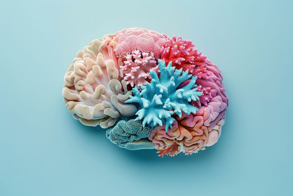Photo of pastel color corals in brain shape invertebrate alcyonacea outdoors.