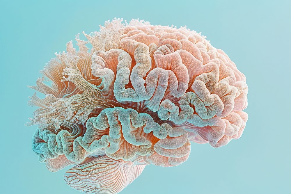 Photo of pastel color corals in brain shape invertebrate alcyonacea outdoors.