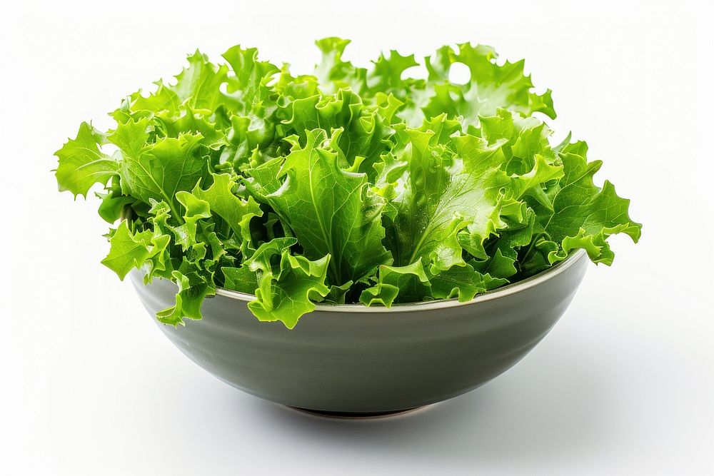 Green salad bowl vegetable lettuce.
