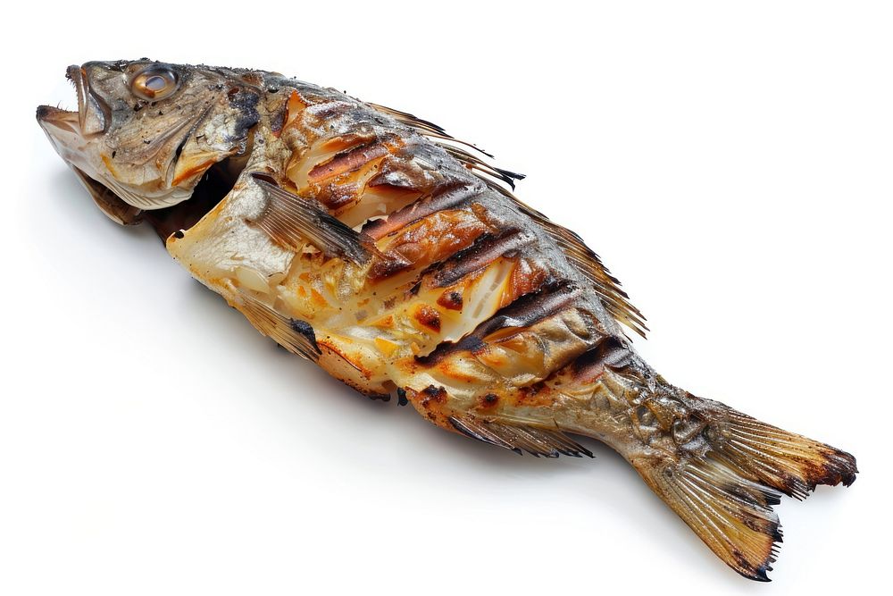 Grilled fish herring sardine animal.