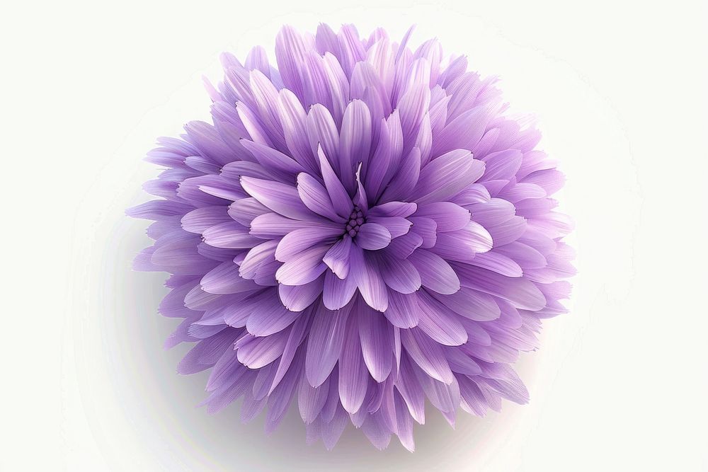 3d render of aster flower fur fluffy dahlia purple plant.